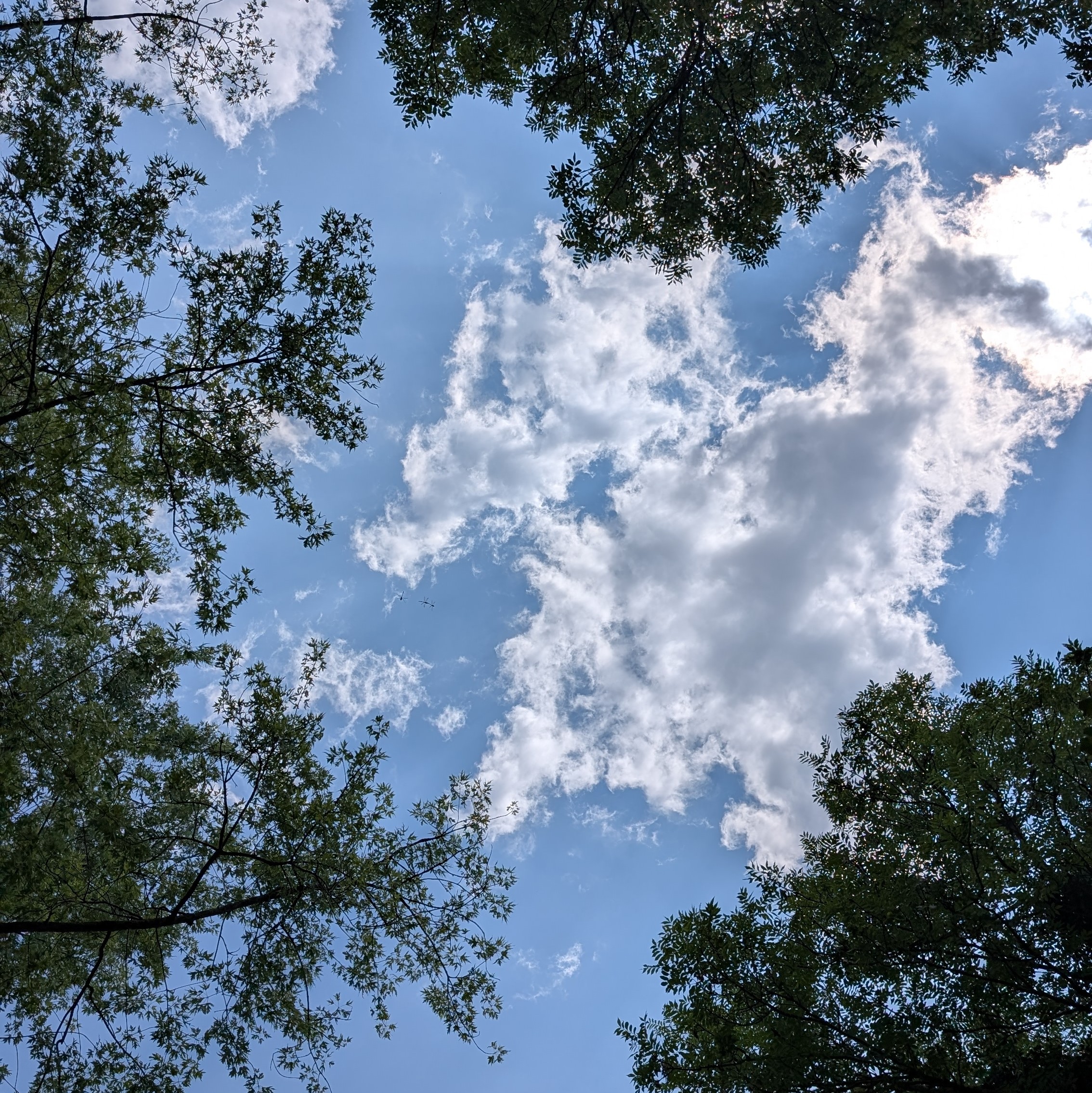 PXL_20260719_120408886