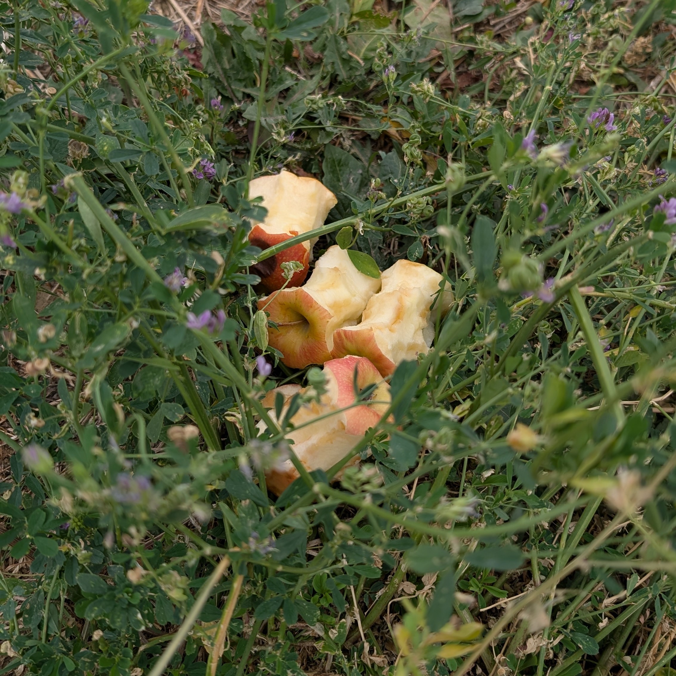 PXL_20260731_103504324
